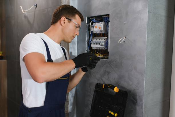 Best Generator Installation Services  in Mchenry, IL