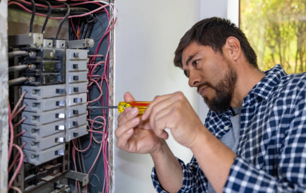 Best Electrician for Home Renovation  in Mchenry, IL